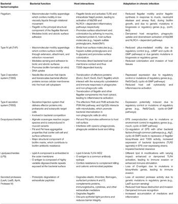 Pseudomonas aeruginosa in Chronic Lung Infections: How to Adapt Within the Host?